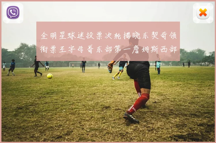 全明星球迷投票次轮揭晓东契奇领衔票王字母哥东部第一詹姆斯西部第八